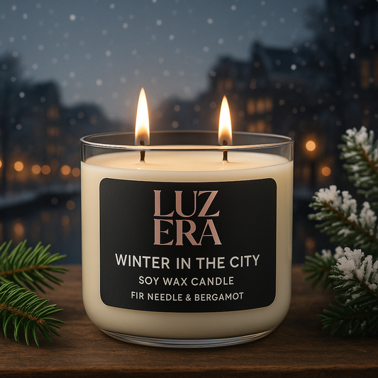 WINTER IN THE CITY